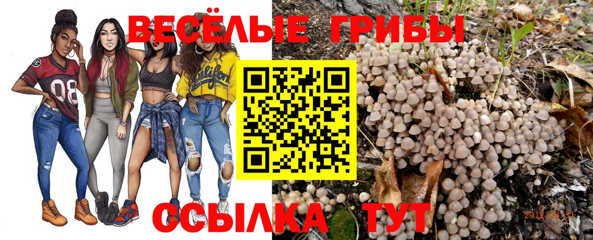 Долгопрудный  Галлюциногенные грибы мухоморы  купить  сайты  Вход с VPN 